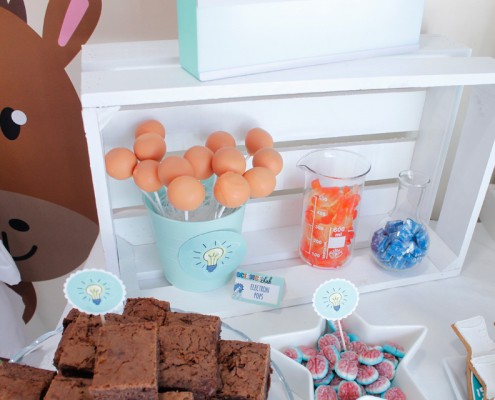 mesa-dulce-ciencias5