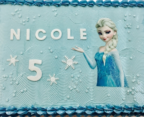 pastel-frozen-la-garriga-granollers