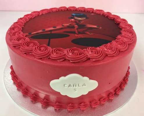 tarta-lady-bug-1030x773